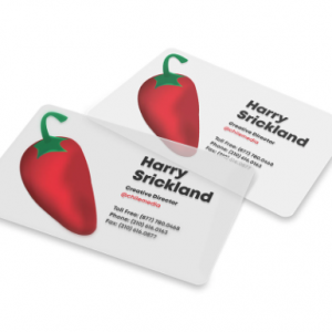 Screen-Shot-2023-11-06-at-4.26.18-PM.png | Chile Media Shop